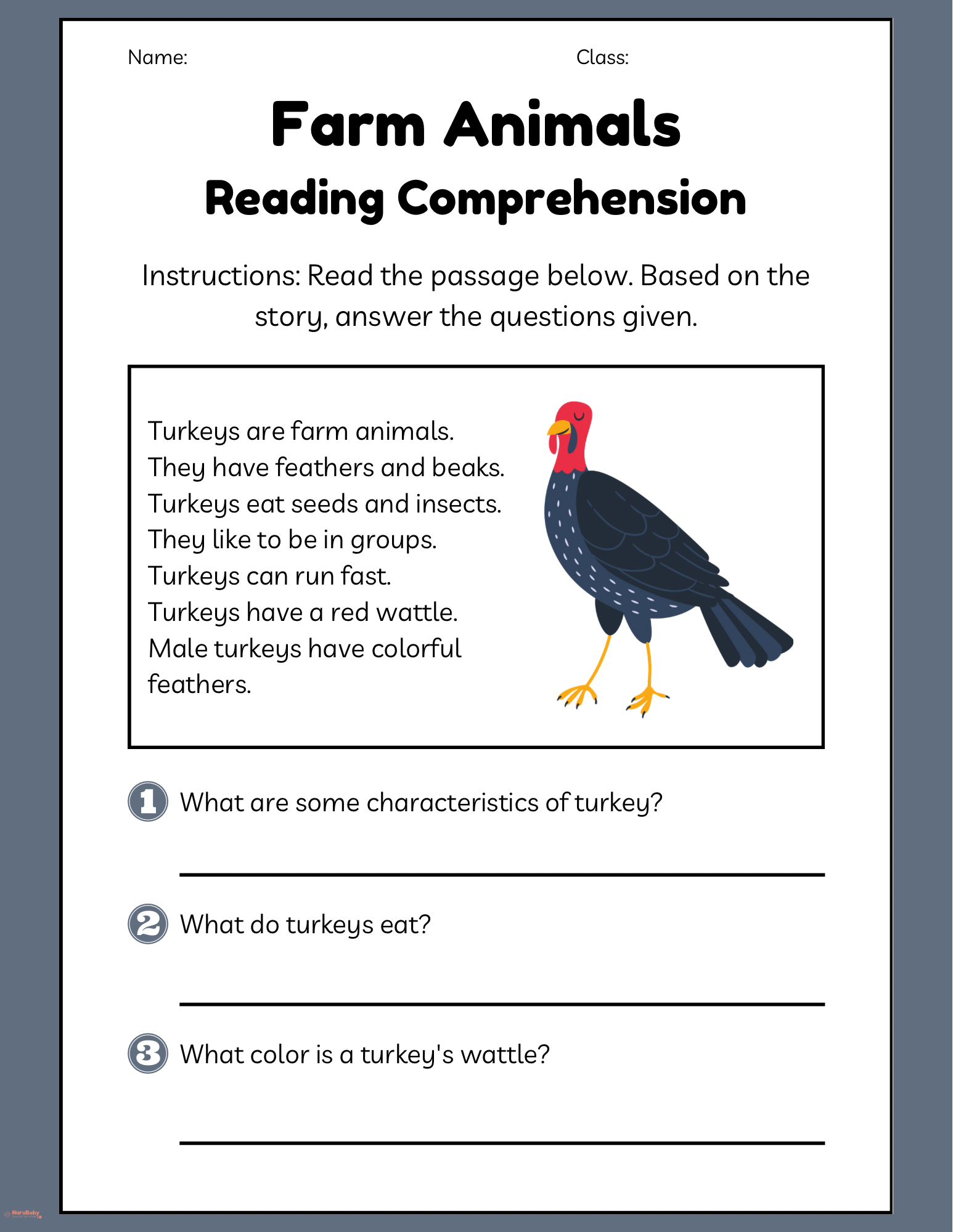 Fun Facts About Farm Turkeys 🦃