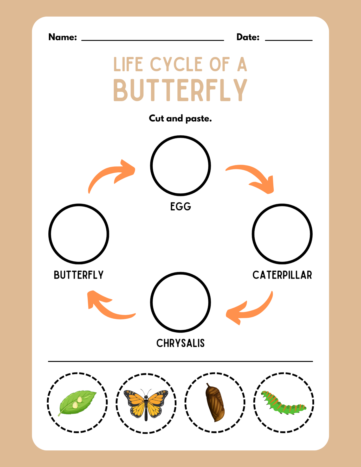 CUT AND PASTE LIFE CYCLE OF BUTTERFLY