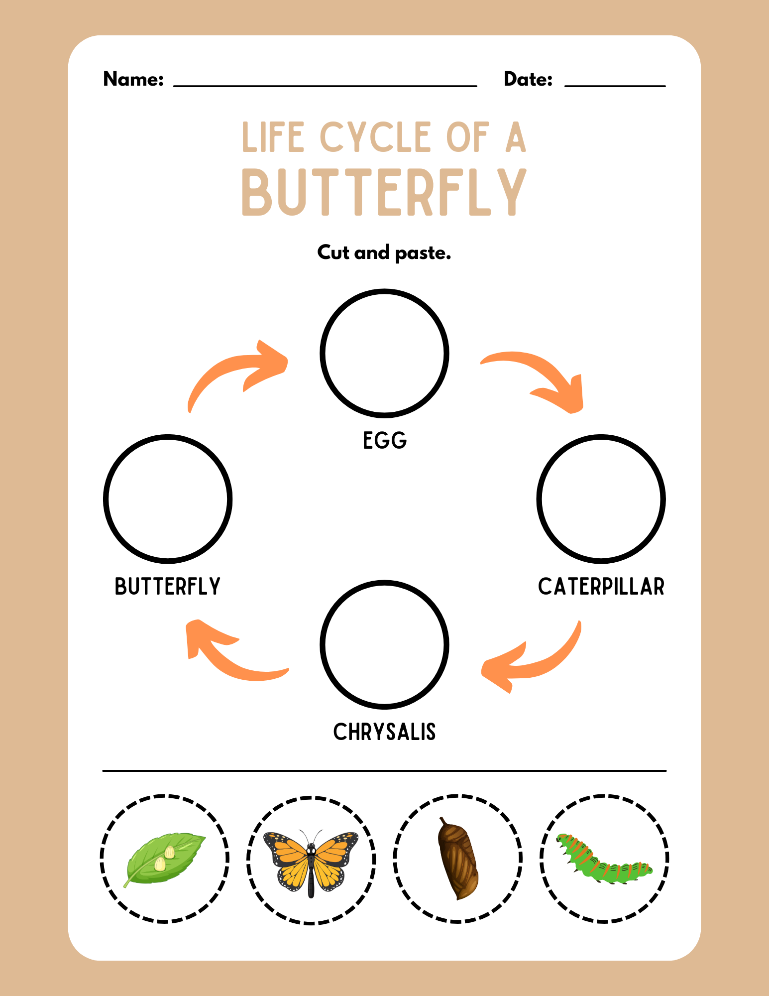 CUT AND PASTE LIFE CYCLE OF BUTTERFLY